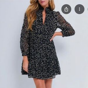 Tuckernuck Nightly Organza Palmerston Dress